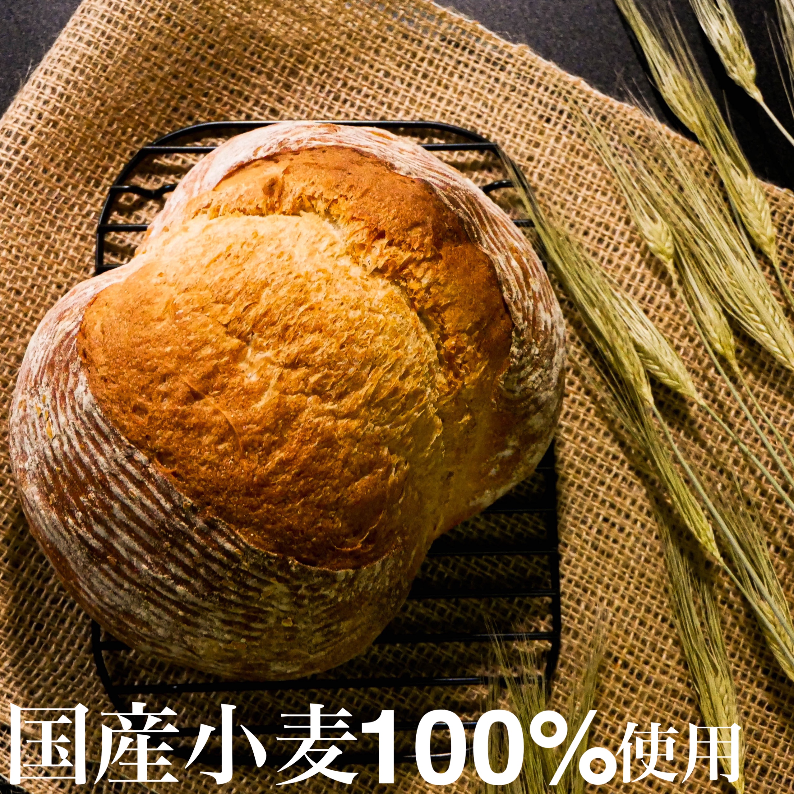 カンパーニュ ブラン不使用 低糖質パンでダイエット Mikaパン 公式サイト カンパーニュ ブラン不使用 低糖質パンでダイエット Mikaパン 公式サイト